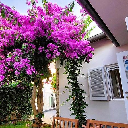 Holiday Home Zora - Family Vacation House Near Protected Area Of The Nature Park Kamenjak, With Green Yard, Wifi, Air-Con Premantura Bagian luar foto